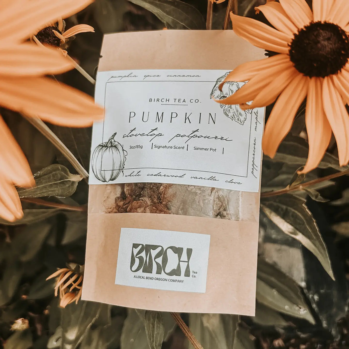 Pumpkin Potpourri Simmer Pot Kit